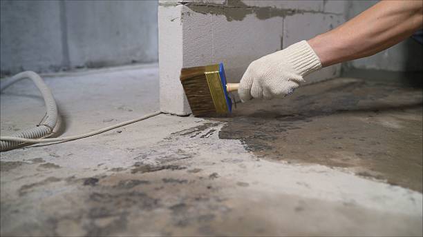 24/7 Emergency Wet Basement Repair experts in Williams, OR